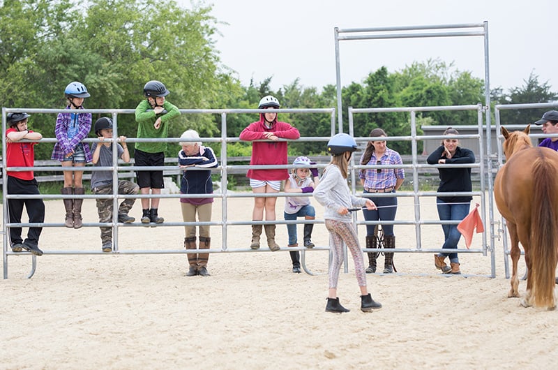 mt_misty_meadows_kids_on_fence